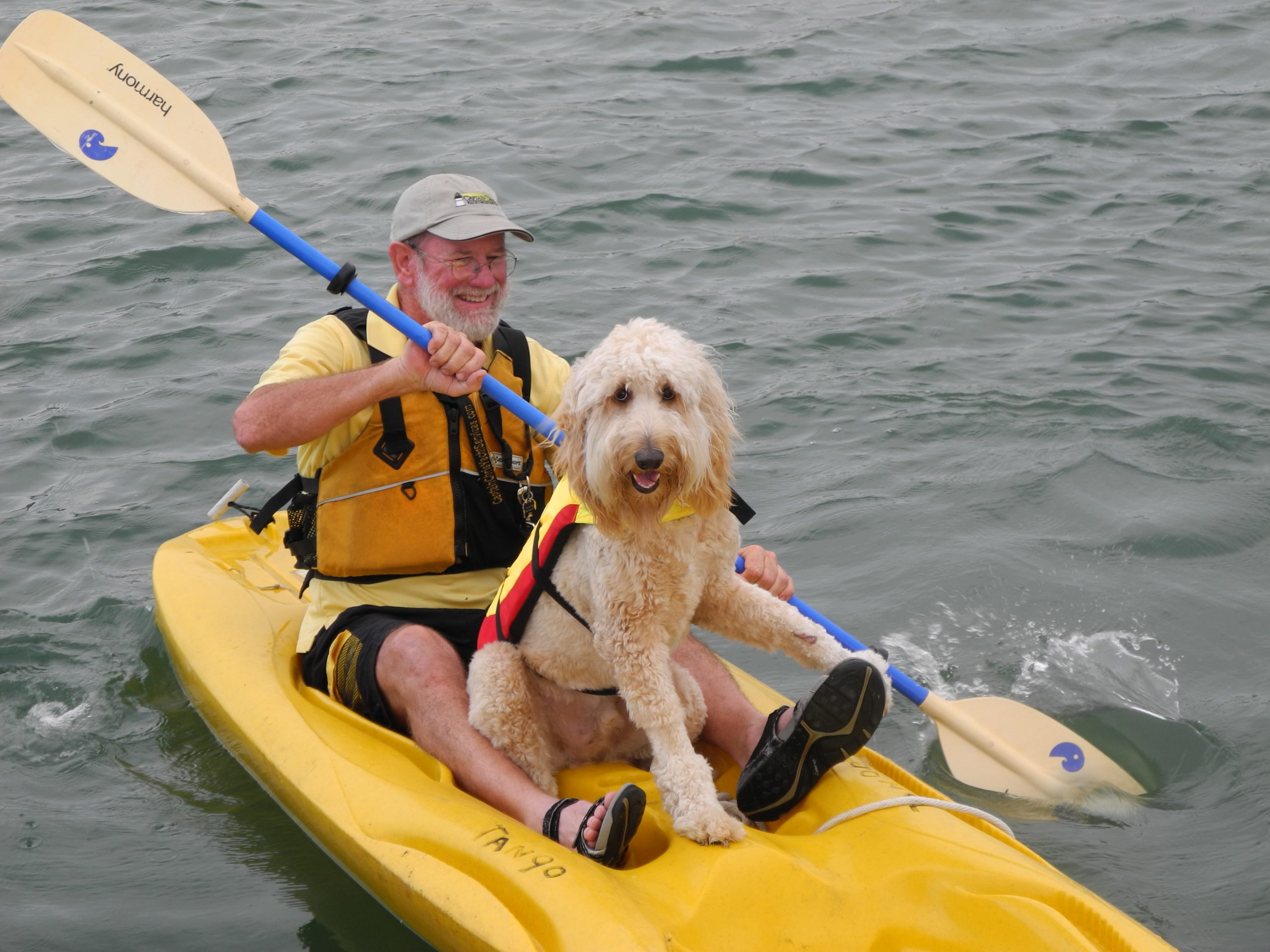 Bring Your Pet Aboard - Captain Chris Yacht Services